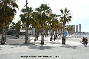 110- Malaga Palmeral Sorpresas